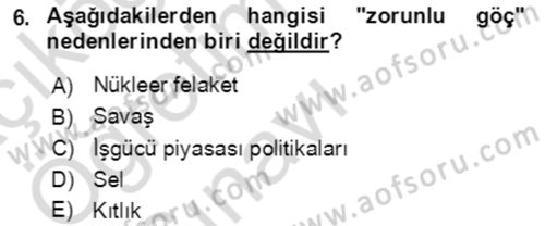 Göç Ve Göçmen Sorunları Dersi 2023 - 2024 Yılı Yaz Okulu Sınav Soruları 6. Soru