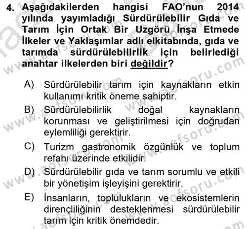 Gastronomi Ve Sürdürülebilirlik Dersi 2024 - 2025 Yılı (Vize) Ara Sınav Soruları 4. Soru