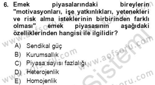 Göç Ve Göçmen Sorunları Dersi 2023 - 2024 Yılı (Final) Dönem Sonu Sınav Soruları 6. Soru