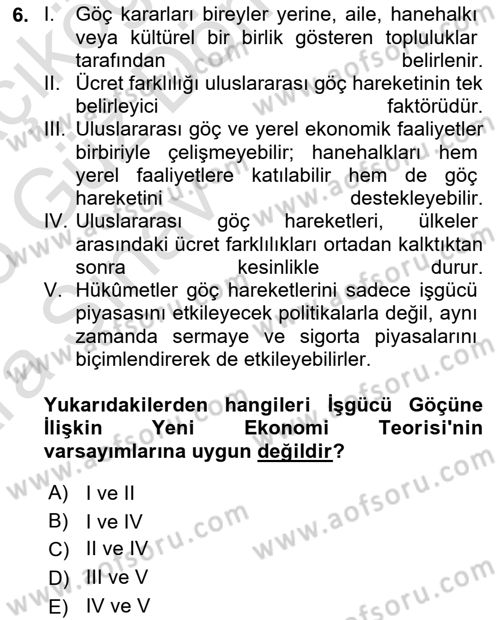 Göç Ve Göçmen Sorunları Dersi 2024 - 2025 Yılı (Vize) Ara Sınav Soruları 6. Soru