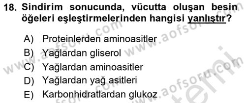 Beslenmenin Temel İlkeleri Dersi 2023 - 2024 Yılı Yaz Okulu Sınav Soruları 18. Soru