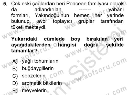 Gastronomi Tarihi Dersi 2024 - 2025 Yılı (Vize) Ara Sınav Soruları 5. Soru