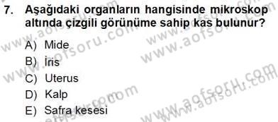İnsan Anatomisi Ve Fizyolojisi Dersi 2012 - 2013 Yılı (Vize) Ara Sınav Soruları 7. Soru