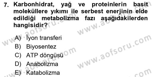 Beslenmenin Temel İlkeleri Dersi 2018 - 2019 Yılı 3 Ders Sınav Soruları 7. Soru