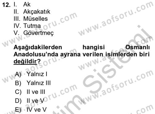 Osmanlı Mutfağı Dersi 2018 - 2019 Yılı Yaz Okulu Sınav Soruları 12. Soru