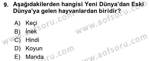 Gastronomi Tarihi Dersi 2018 - 2019 Yılı (Final) Dönem Sonu Sınav Soruları 9. Soru