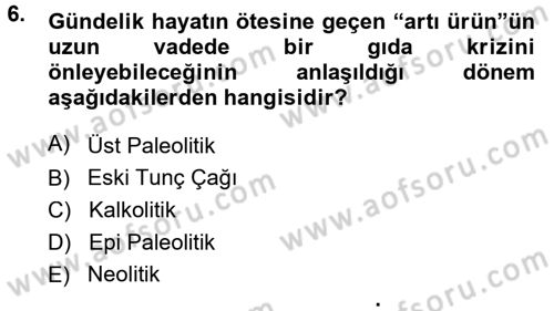 Anadolu Arkeolojisi Dersi 2014 - 2015 Yılı (Vize) Ara Sınav Soruları 6. Soru