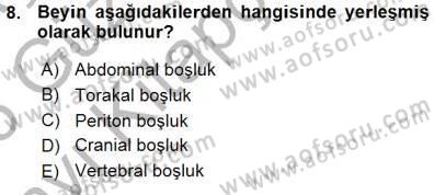 İnsan Anatomisi Ve Fizyolojisi Dersi 2015 - 2016 Yılı (Vize) Ara Sınav Soruları 8. Soru