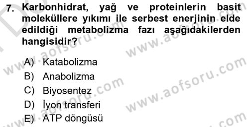 Beslenmenin Temel İlkeleri Dersi 2023 - 2024 Yılı (Final) Dönem Sonu Sınav Soruları 7. Soru