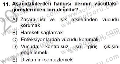 İnsan Anatomisi Ve Fizyolojisi Dersi 2013 - 2014 Yılı (Vize) Ara Sınav Soruları 11. Soru