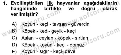 Gastronomi Tarihi Dersi 2017 - 2018 Yılı 3 Ders Sınav Soruları 1. Soru