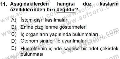 İnsan Anatomisi Ve Fizyolojisi Dersi 2015 - 2016 Yılı (Vize) Ara Sınav Soruları 11. Soru