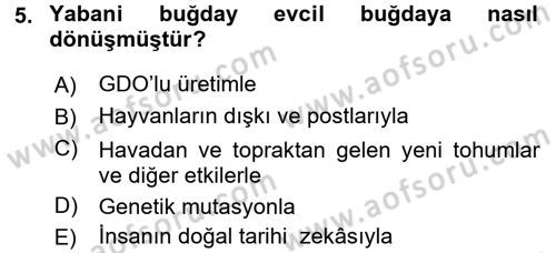 Gastronomi Tarihi Dersi 2015 - 2016 Yılı (Vize) Ara Sınav Soruları 5. Soru