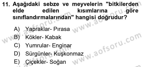 Temel Mutfak Teknikleri Dersi 2021 - 2022 Yılı (Final) Dönem Sonu Sınav Soruları 11. Soru