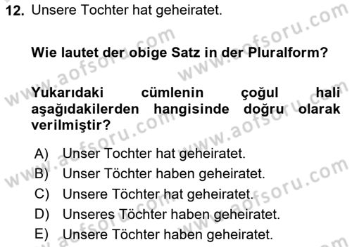 Almanca 1 Dersi 2024 - 2025 Yılı Yaz Okulu Sınav Soruları 12. Soru