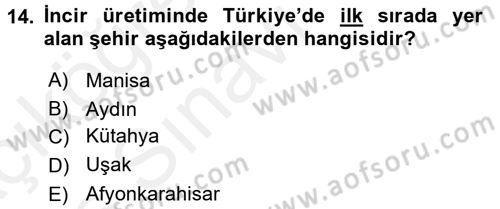 Yöresel Mutfaklar Dersi 2017 - 2018 Yılı 3 Ders Sınav Soruları 14. Soru