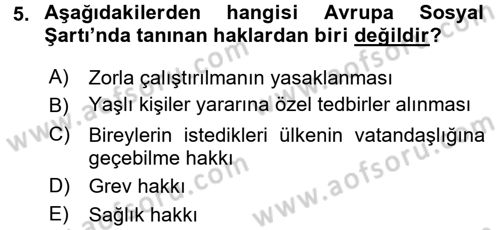 İnsan Hakları Ve Kamu Özgürlükleri Dersi 2015 - 2016 Yılı Tek Ders Sınav Soruları 5. Soru