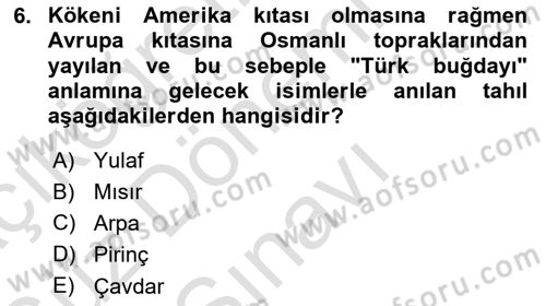 Türk Mutfak Kültürü Dersi 2019 - 2020 Yılı (Final) Dönem Sonu Sınav Soruları 6. Soru