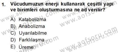 İnsan Anatomisi Ve Fizyolojisi Dersi 2014 - 2015 Yılı (Vize) Ara Sınav Soruları 1. Soru