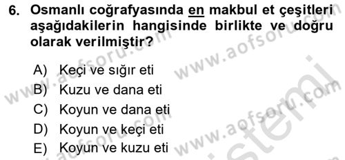 Osmanlı Mutfağı Dersi 2022 - 2023 Yılı Yaz Okulu Sınav Soruları 6. Soru