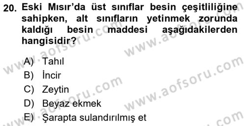 Yemek Sosyolojisi Dersi 2021 - 2022 Yılı (Final) Dönem Sonu Sınav Soruları 20. Soru