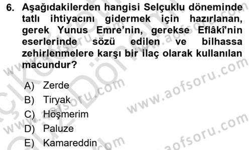 Türk Mutfak Kültürü Dersi 2023 - 2024 Yılı (Vize) Ara Sınav Soruları 6. Soru