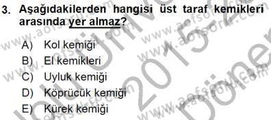 İnsan Anatomisi Ve Fizyolojisi Dersi 2015 - 2016 Yılı (Final) Dönem Sonu Sınav Soruları 3. Soru