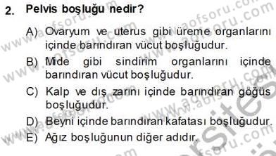 İnsan Anatomisi Ve Fizyolojisi Dersi 2013 - 2014 Yılı (Vize) Ara Sınav Soruları 2. Soru