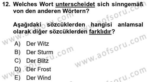 Almanca 2 Dersi 2022 - 2023 Yılı Yaz Okulu Sınav Soruları 12. Soru