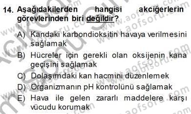 İnsan Anatomisi Ve Fizyolojisi Dersi 2013 - 2014 Yılı (Final) Dönem Sonu Sınav Soruları 14. Soru