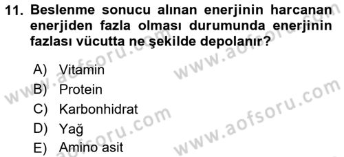 Beslenmenin Temel İlkeleri Dersi 2022 - 2023 Yılı Yaz Okulu Sınav Soruları 11. Soru