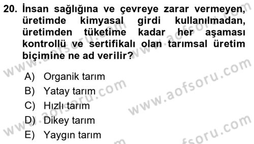 Yemek Sosyolojisi Dersi 2021 - 2022 Yılı Yaz Okulu Sınav Soruları 20. Soru