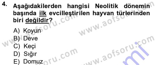 Anadolu Arkeolojisi Dersi 2013 - 2014 Yılı (Vize) Ara Sınav Soruları 4. Soru