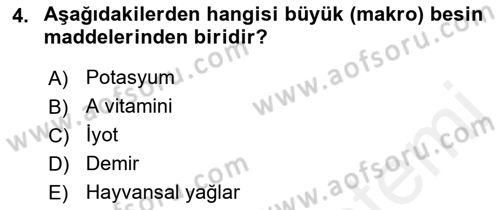 Gıda Coğrafyası Dersi 2018 - 2019 Yılı (Vize) Ara Sınav Soruları 4. Soru