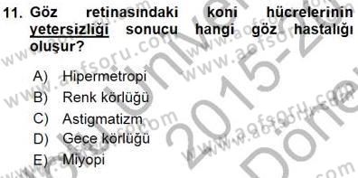 İnsan Anatomisi Ve Fizyolojisi Dersi 2015 - 2016 Yılı (Final) Dönem Sonu Sınav Soruları 11. Soru