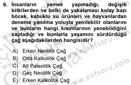 Gastronominin Temelleri Dersi 2022 - 2023 Yılı (Final) Dönem Sonu Sınav Soruları 6. Soru
