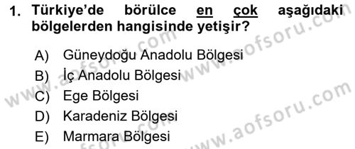 Gıda Coğrafyası Dersi 2019 - 2020 Yılı (Final) Dönem Sonu Sınav Soruları 1. Soru