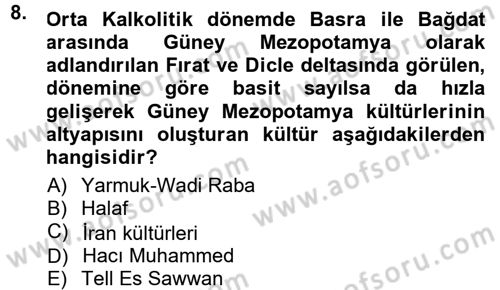 Anadolu Arkeolojisi Dersi 2013 - 2014 Yılı (Vize) Ara Sınav Soruları 8. Soru