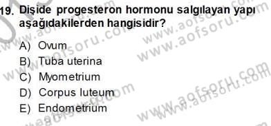 İnsan Anatomisi Ve Fizyolojisi Dersi 2013 - 2014 Yılı (Final) Dönem Sonu Sınav Soruları 19. Soru