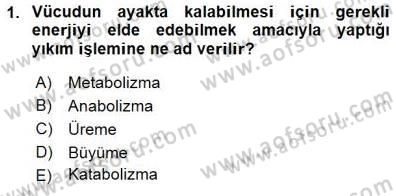 İnsan Anatomisi Ve Fizyolojisi Dersi 2015 - 2016 Yılı (Final) Dönem Sonu Sınav Soruları 1. Soru