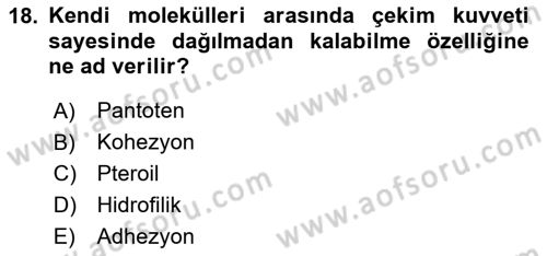 Beslenmenin Temel İlkeleri Dersi 2025 - 2026 Yılı (Vize) Ara Sınav Soruları 18. Soru