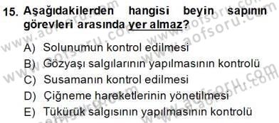İnsan Anatomisi Ve Fizyolojisi Dersi 2014 - 2015 Yılı (Vize) Ara Sınav Soruları 15. Soru