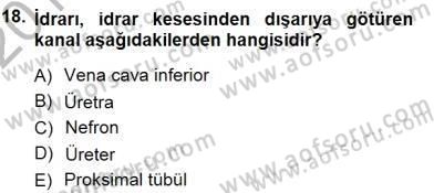 İnsan Anatomisi Ve Fizyolojisi Dersi 2012 - 2013 Yılı (Final) Dönem Sonu Sınav Soruları 18. Soru