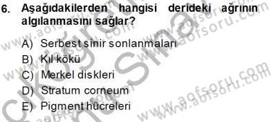 İnsan Anatomisi Ve Fizyolojisi Dersi 2013 - 2014 Yılı (Final) Dönem Sonu Sınav Soruları 6. Soru