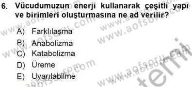 İnsan Anatomisi Ve Fizyolojisi Dersi 2015 - 2016 Yılı (Vize) Ara Sınav Soruları 6. Soru