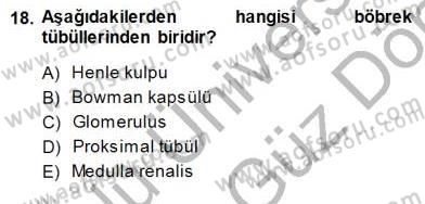 İnsan Anatomisi Ve Fizyolojisi Dersi 2013 - 2014 Yılı (Final) Dönem Sonu Sınav Soruları 18. Soru