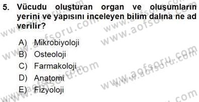 İnsan Anatomisi Ve Fizyolojisi Dersi 2015 - 2016 Yılı (Vize) Ara Sınav Soruları 5. Soru
