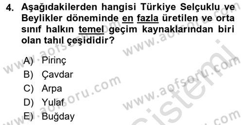 Türk Mutfak Kültürü Dersi 2022 - 2023 Yılı (Final) Dönem Sonu Sınav Soruları 4. Soru