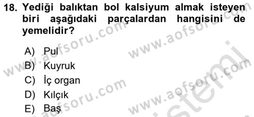 Beslenmenin Temel İlkeleri Dersi 2021 - 2022 Yılı Yaz Okulu Sınav Soruları 18. Soru