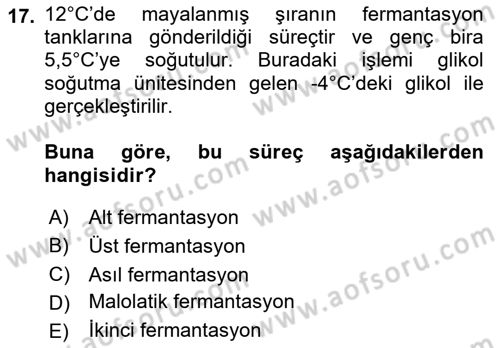 İçecek Bilgisi Dersi 2022 - 2023 Yılı Yaz Okulu Sınav Soruları 17. Soru